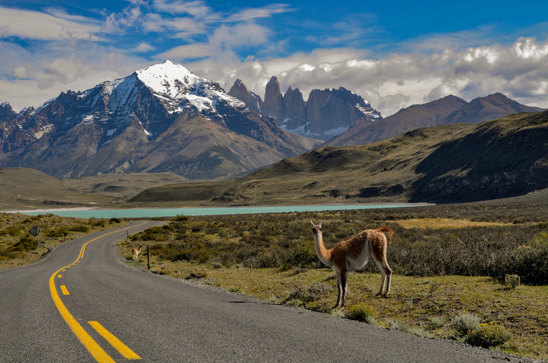 Aventura a la Patagonia