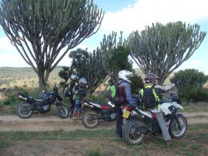 viajeros y motos en un camino con varios arboles