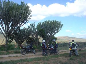 viajeros con sus motocicletas a un costado de un camino de tierra