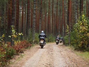 motocicletas atravesando bosque en rusia